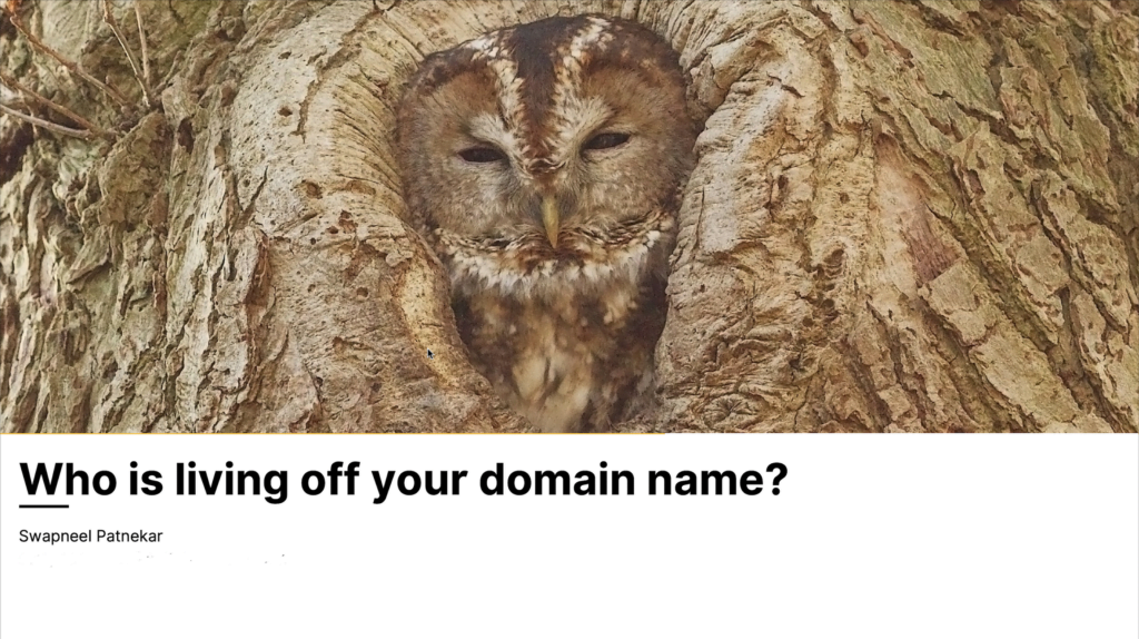 Presentation "Who is living off your domain name?" image